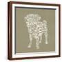 Brown Frame