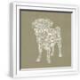 White Frame