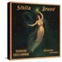 Stella Brand - Riverside, California - Citrus Crate Label-Lantern Press-Stretched Canvas