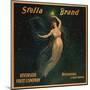 Stella Brand - Riverside, California - Citrus Crate Label-Lantern Press-Mounted Art Print