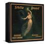 Stella Brand - Riverside, California - Citrus Crate Label-Lantern Press-Framed Stretched Canvas