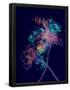 Essential Black