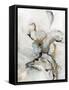 Framed Canvas