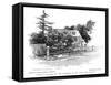 Stella's Cottage-null-Framed Stretched Canvas