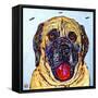 Stella-MADdogART-Framed Stretched Canvas