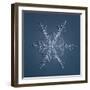 Stellar Dendrite Snowflake-null-Framed Giclee Print