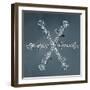 Stellar Dendrite Snowflake-null-Framed Giclee Print