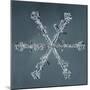 Stellar Dendrite Snowflake-null-Mounted Giclee Print