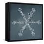 Stellar Dendrite Snowflake-null-Framed Stretched Canvas