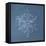Stellar Dendrite Snowflake-null-Framed Stretched Canvas