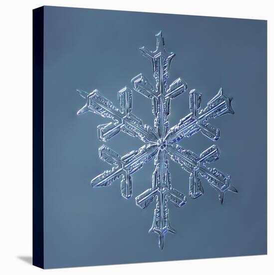 Stellar Dendrite Snowflake-null-Stretched Canvas