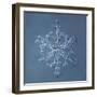 Stellar Dendrite Snowflake-null-Framed Giclee Print