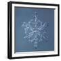 Stellar Dendrite Snowflake-null-Framed Giclee Print