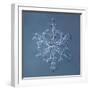 Stellar Dendrite Snowflake-null-Framed Giclee Print