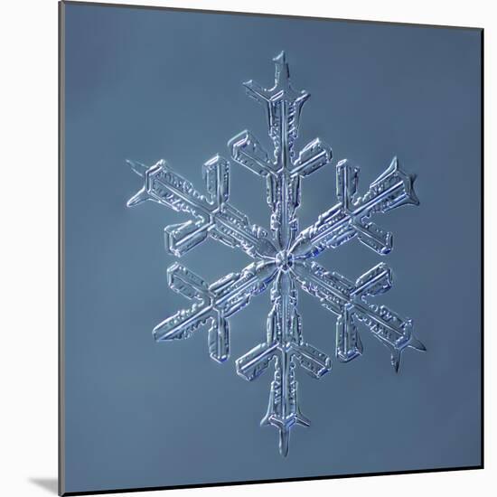 Stellar Dendrite Snowflake-null-Mounted Giclee Print
