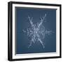 Black Frame