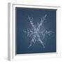 White Frame