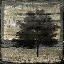 Laminate
