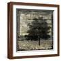 Brown Frame
