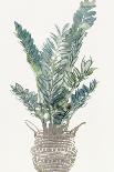 Foliage in Woven Pot 2-Stellar Design Studio-Art Print