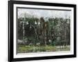 Gramercy Black