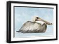 Black Frame