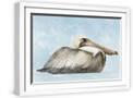 White Frame