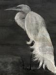 Textured Egret I-Stellar Design Studio-Art Print