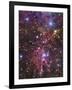 Stellar Nursery Located Towards the Constellation of Monoceros-Stocktrek Images-Framed Photographic Print