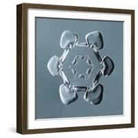 Stellar Plate Snowflake-null-Framed Giclee Print