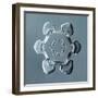 Stellar Plate Snowflake-null-Framed Giclee Print