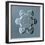 Stellar Plate Snowflake-null-Framed Giclee Print