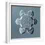 Stellar Plate Snowflake-null-Framed Giclee Print