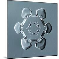 Stellar Plate Snowflake-null-Mounted Giclee Print