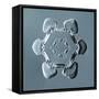 Stellar Plate Snowflake-null-Framed Stretched Canvas