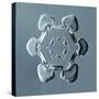 Stellar Plate Snowflake-null-Stretched Canvas