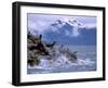 Stellar Sea Lions, Glacier Bay, Alaska, USA-Gavriel Jecan-Framed Premium Photographic Print