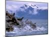 Stellar Sea Lions, Glacier Bay, Alaska, USA-Gavriel Jecan-Mounted Premium Photographic Print