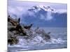 Stellar Sea Lions, Glacier Bay, Alaska, USA-Gavriel Jecan-Mounted Photographic Print