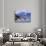 Stellar Sea Lions, Glacier Bay, Alaska, USA-Gavriel Jecan-Photographic Print displayed on a wall