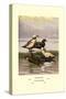 Stellars and Spectacled Eiders-Allan Brooks-Stretched Canvas