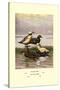 Stellars and Spectacled Eiders-Allan Brooks-Stretched Canvas