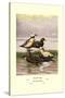 Stellars and Spectacled Eiders-Allan Brooks-Stretched Canvas