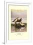 Stellars and Spectacled Eiders-Allan Brooks-Framed Art Print