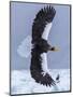 Steller's Sea eagle, Hokkaido, Japan-Art Wolfe Wolfe-Mounted Premium Photographic Print