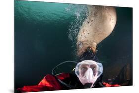 Steller Sea Lion Biting Head of Photographer Paul Souders-Paul Souders-Mounted Photographic Print