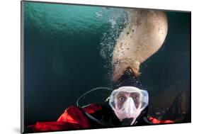 Steller Sea Lion Biting Head of Photographer Paul Souders-Paul Souders-Mounted Photographic Print