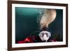 Steller Sea Lion Biting Head of Photographer Paul Souders-Paul Souders-Framed Photographic Print