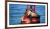 Steller sea lion, Eumetopias Jubatus, on harbor buoy, Ventura, California, USA-Russ Bishop-Framed Photographic Print