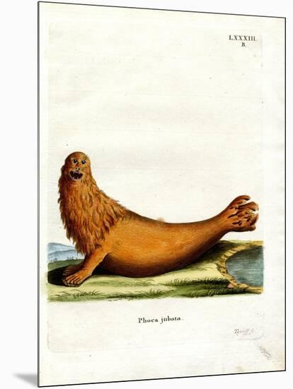 Steller Sea Lion-null-Mounted Giclee Print